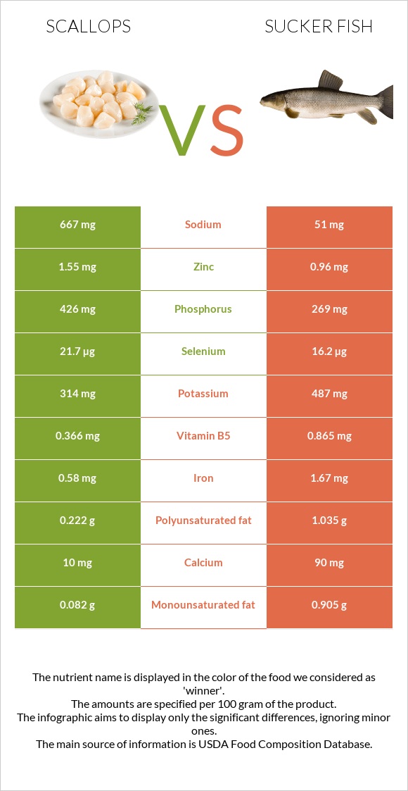 Scallop vs Sucker fish infographic