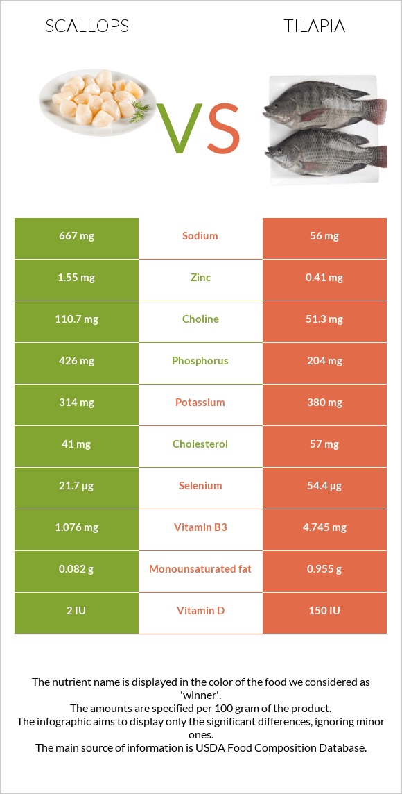 Scallop vs Tilapia infographic