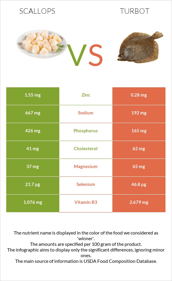 Scallop vs Turbot infographic