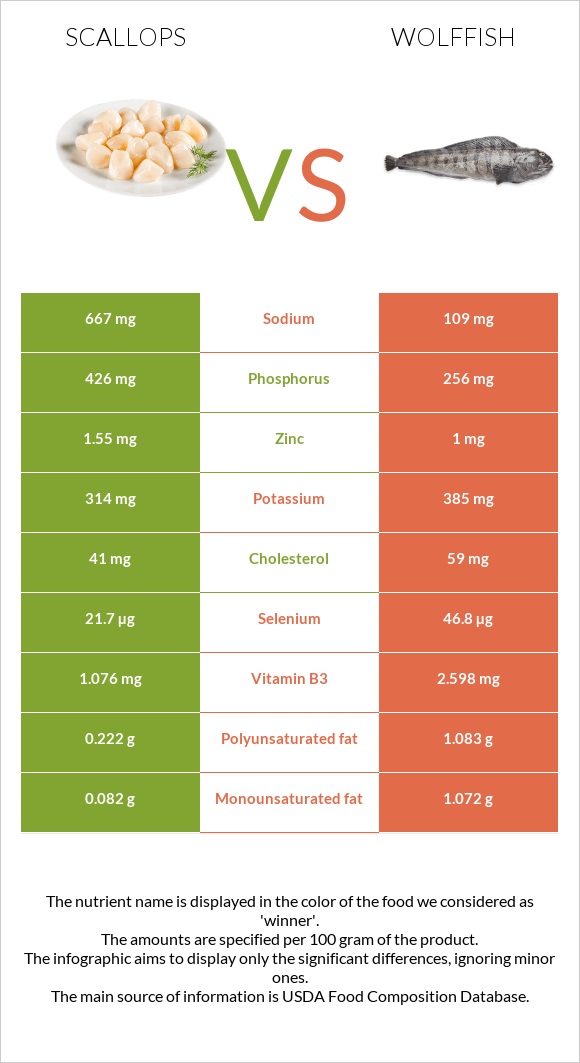 Scallop vs Wolffish infographic