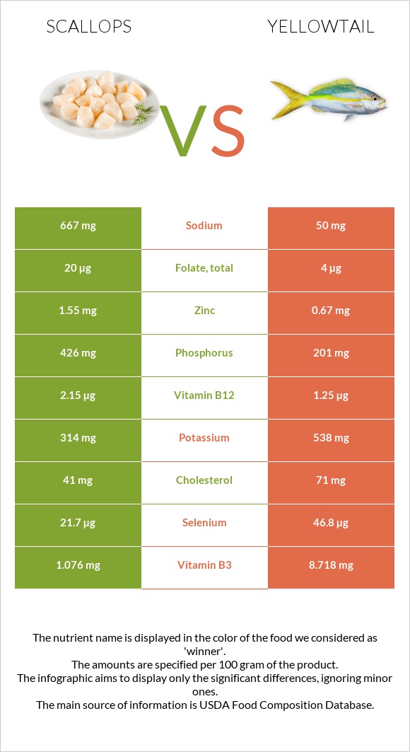 Scallop vs Yellowtail infographic