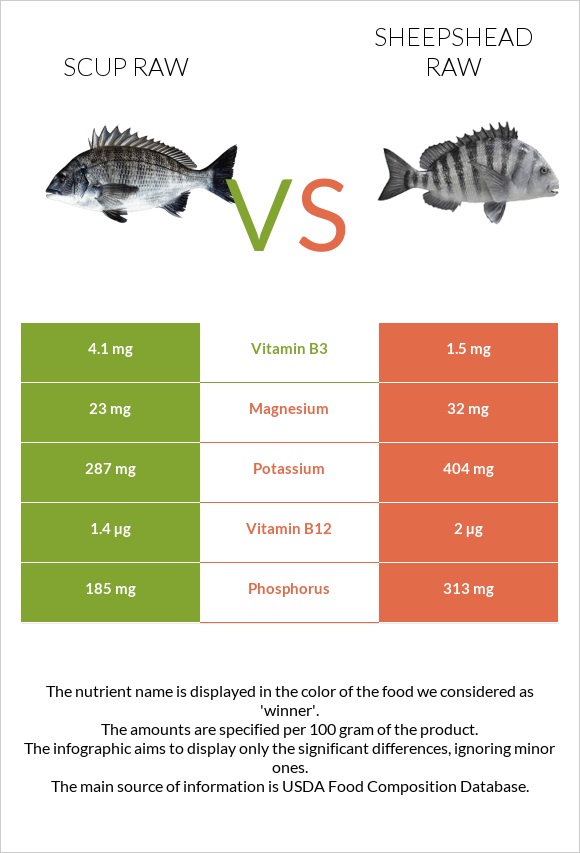 Scup raw vs Sheepshead raw infographic