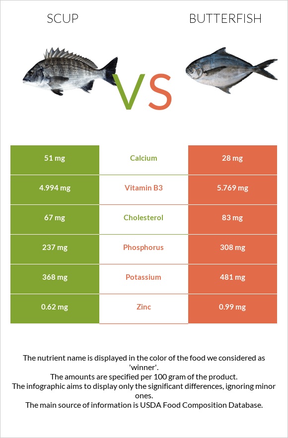 Scup vs Butterfish infographic