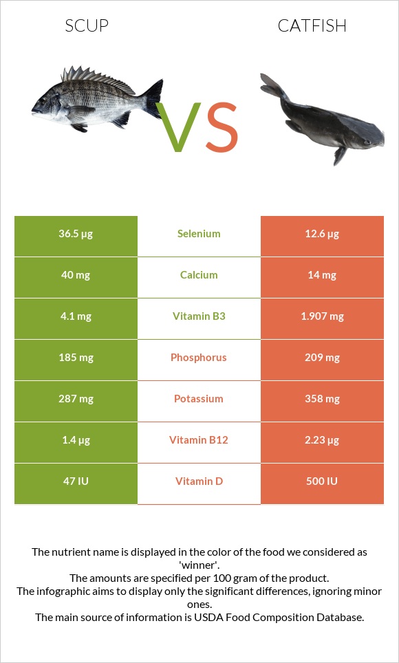Scup vs Catfish infographic