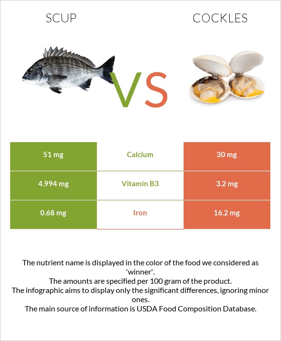 Scup vs Cockles infographic