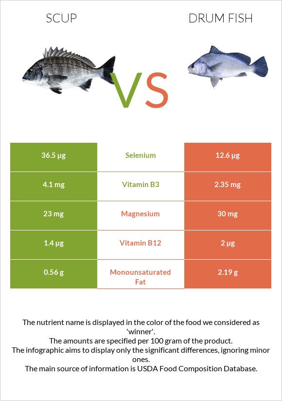Scup vs Drum fish infographic