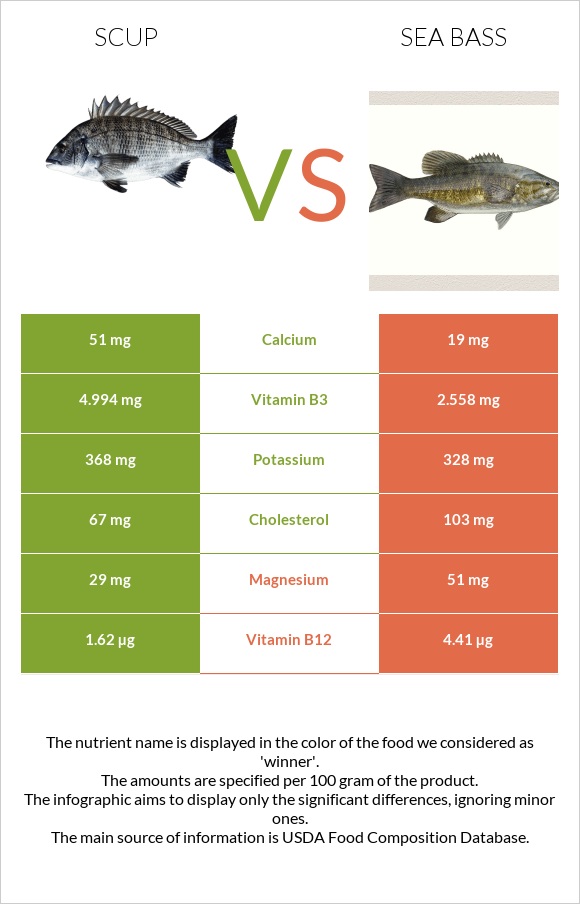 Scup vs Bass infographic