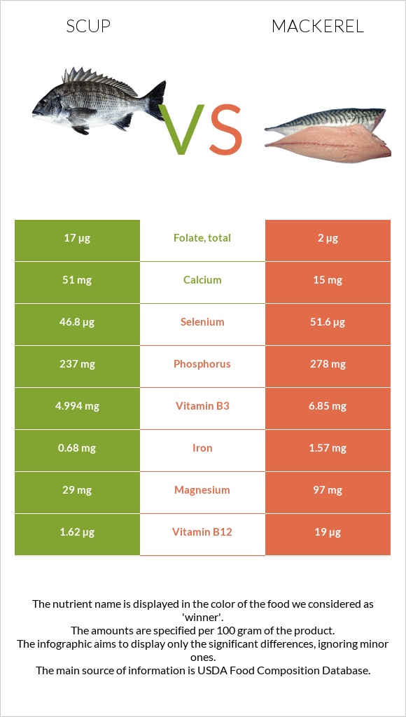 Scup vs Mackerel infographic