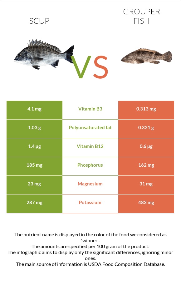 Scup vs Grouper fish infographic
