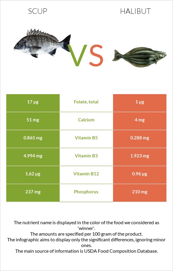 Scup vs Halibut infographic