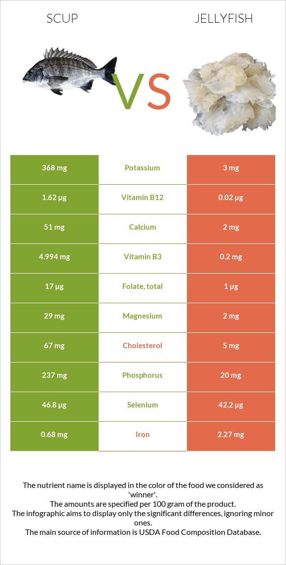 Scup vs Jellyfish infographic