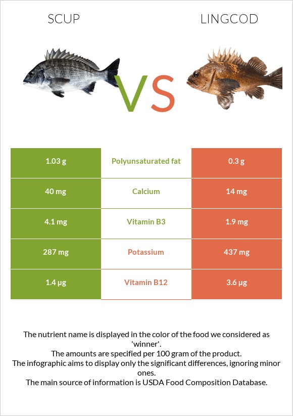 Scup vs Lingcod infographic