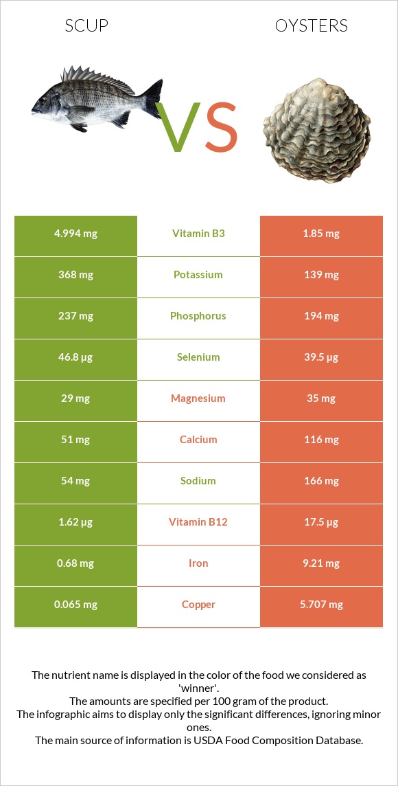 Scup vs Oysters infographic