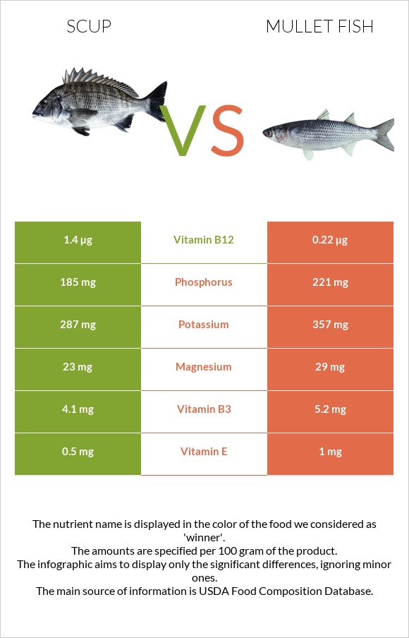 Scup vs Mullet fish infographic