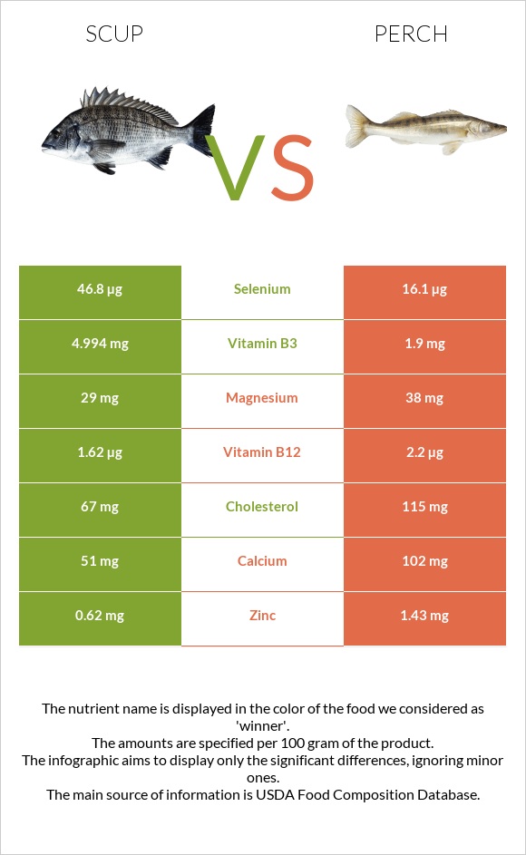 Scup vs Perch infographic