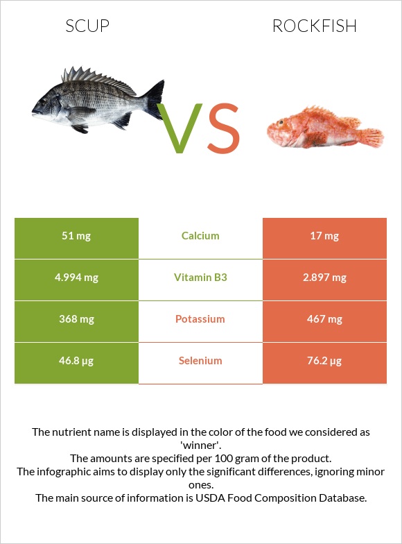 Scup vs Rockfish infographic