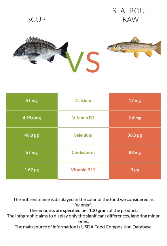 Scup vs Seatrout raw infographic