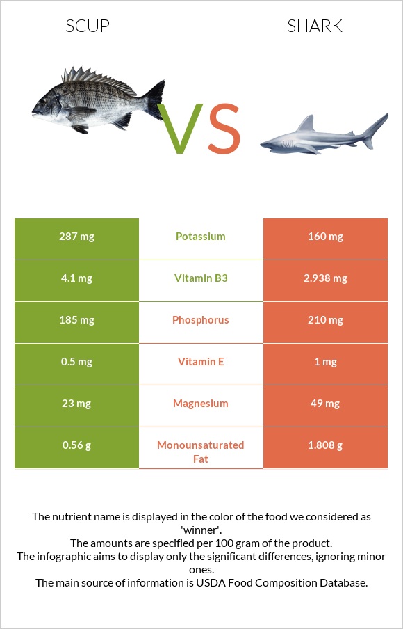 Scup vs Shark infographic