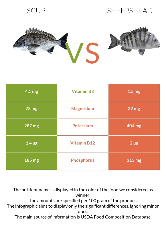 Scup vs Sheepshead infographic