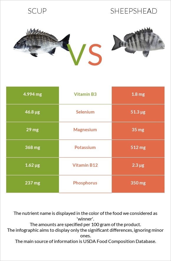 Scup vs Sheepshead infographic