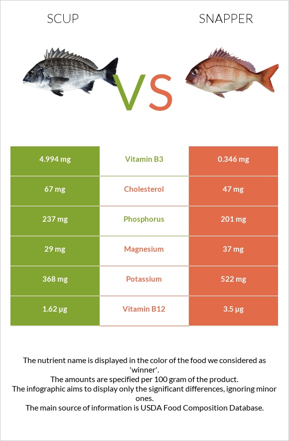 Scup vs Snapper infographic