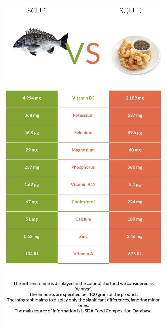 Scup vs Squid infographic