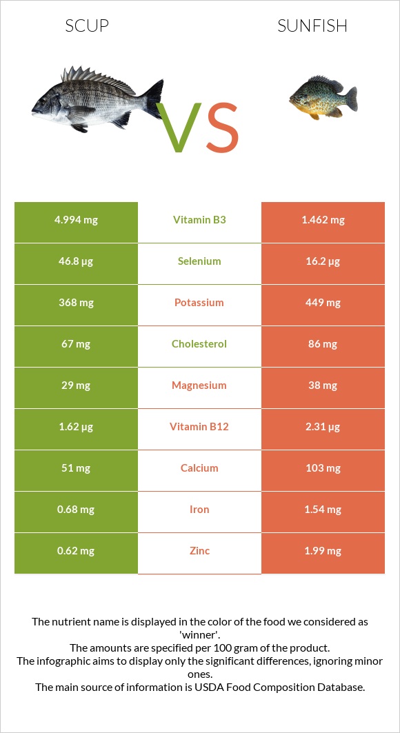 Scup vs Sunfish infographic