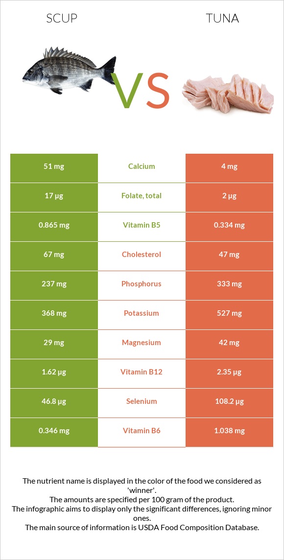 Scup vs Թունա infographic