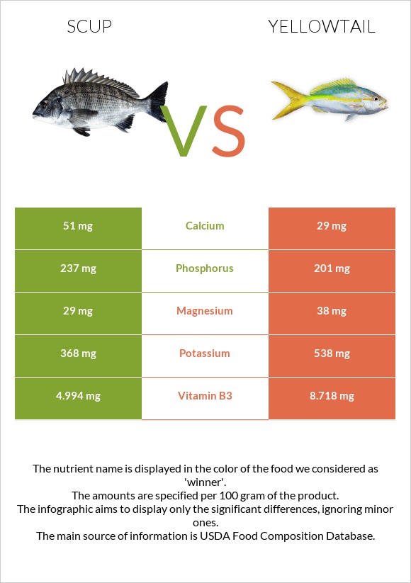 Scup vs Yellowtail infographic