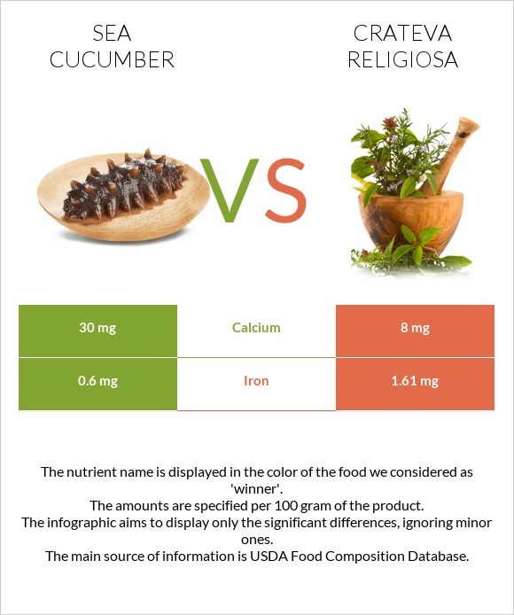 Sea cucumber vs Crateva religiosa infographic