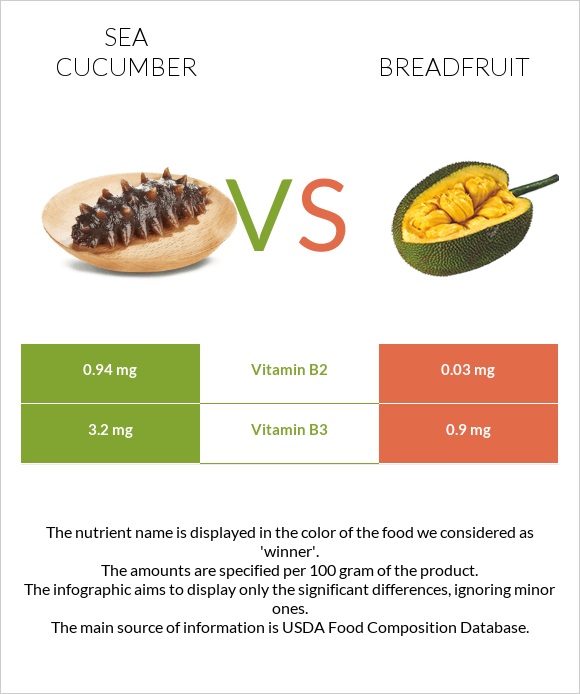 Sea cucumber vs Հացի ծառ infographic