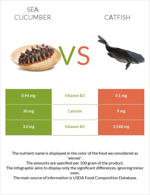 Sea cucumber vs Catfish infographic