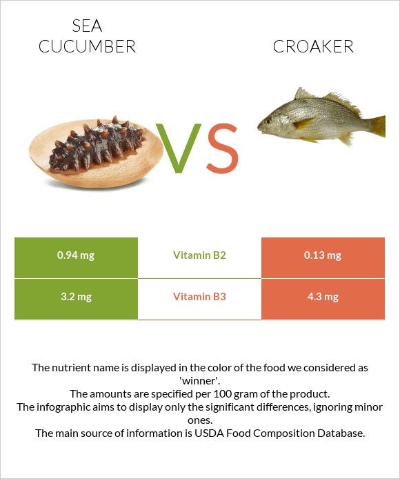 Sea cucumber vs Croaker infographic