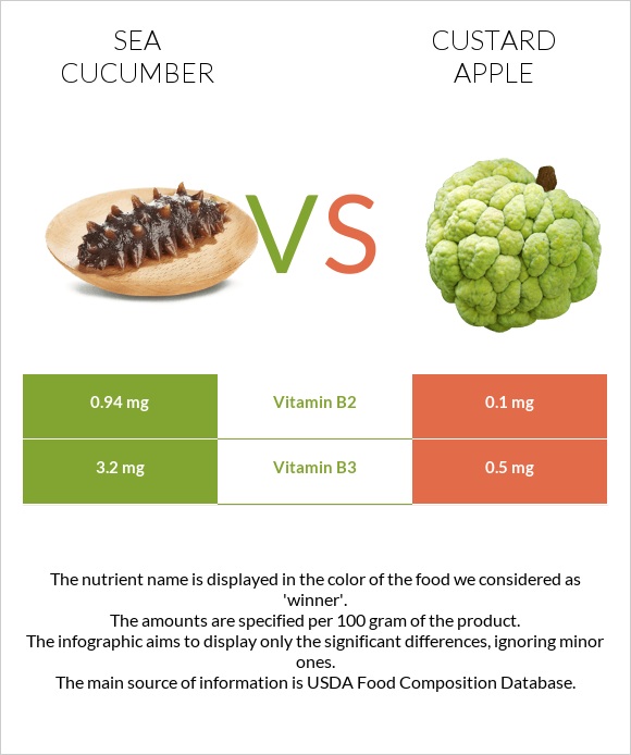 Sea cucumber vs Կրեմե խնձոր infographic