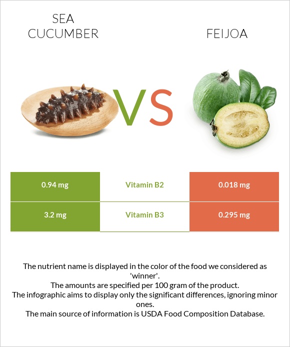 Sea cucumber vs Ֆեյխոա infographic