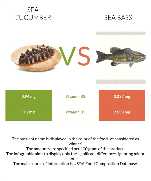 Sea cucumber vs Bass infographic