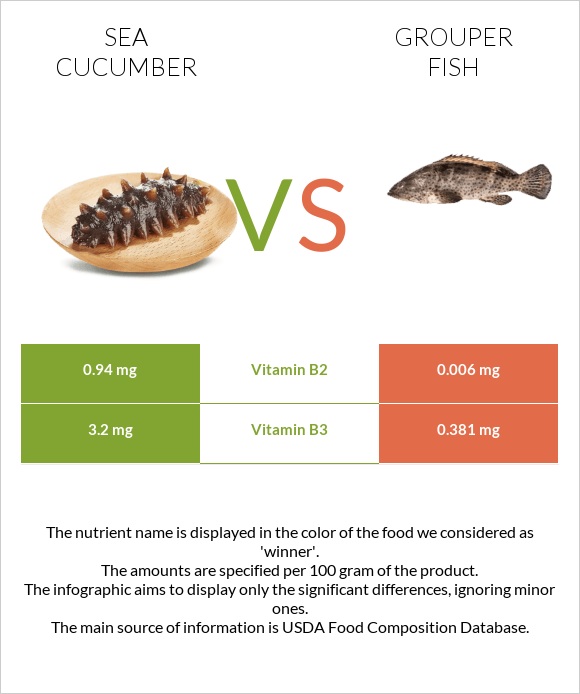 Sea cucumber vs Grouper fish infographic