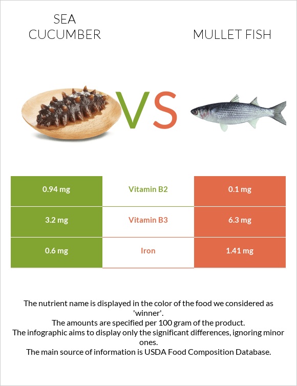 Sea cucumber vs Mullet fish infographic