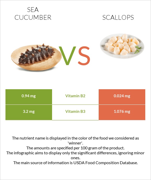 Sea cucumber vs Scallop infographic