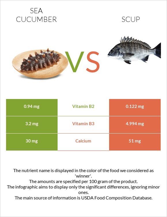 Sea cucumber vs Scup infographic