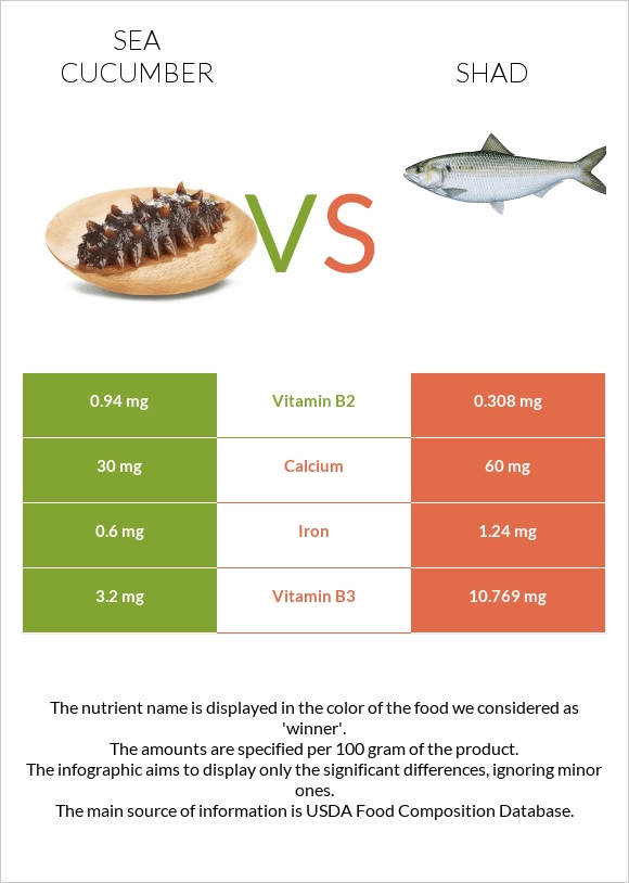 Sea cucumber vs Shad infographic