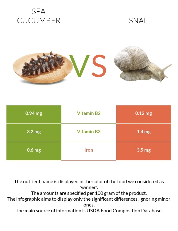 Sea cucumber vs Snail infographic