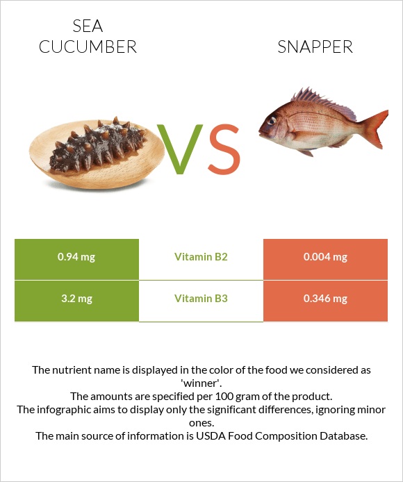 Sea cucumber vs Snapper infographic