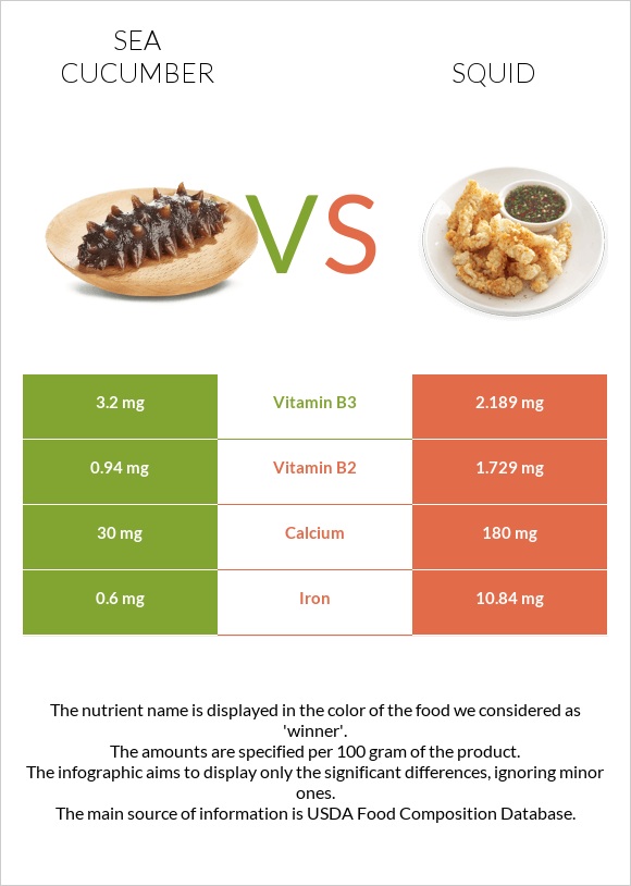 Sea cucumber vs Squid infographic