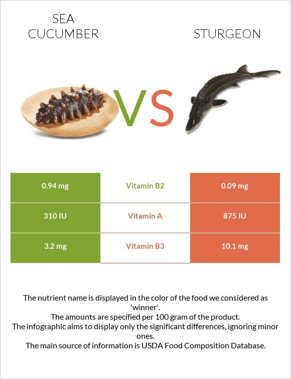 Sea cucumber vs Sturgeon infographic