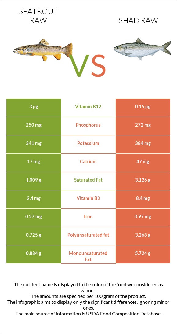 Seatrout raw vs Shad raw infographic