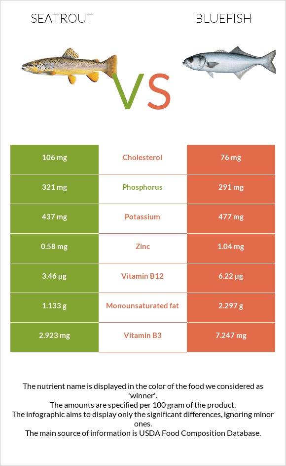 Seatrout vs Bluefish infographic