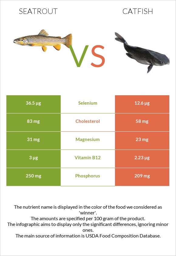 Seatrout vs Catfish infographic
