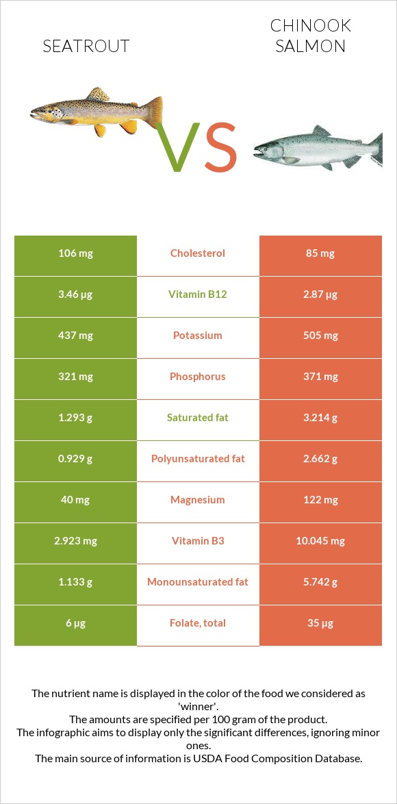 Seatrout vs Սաղմոն չավիչա infographic