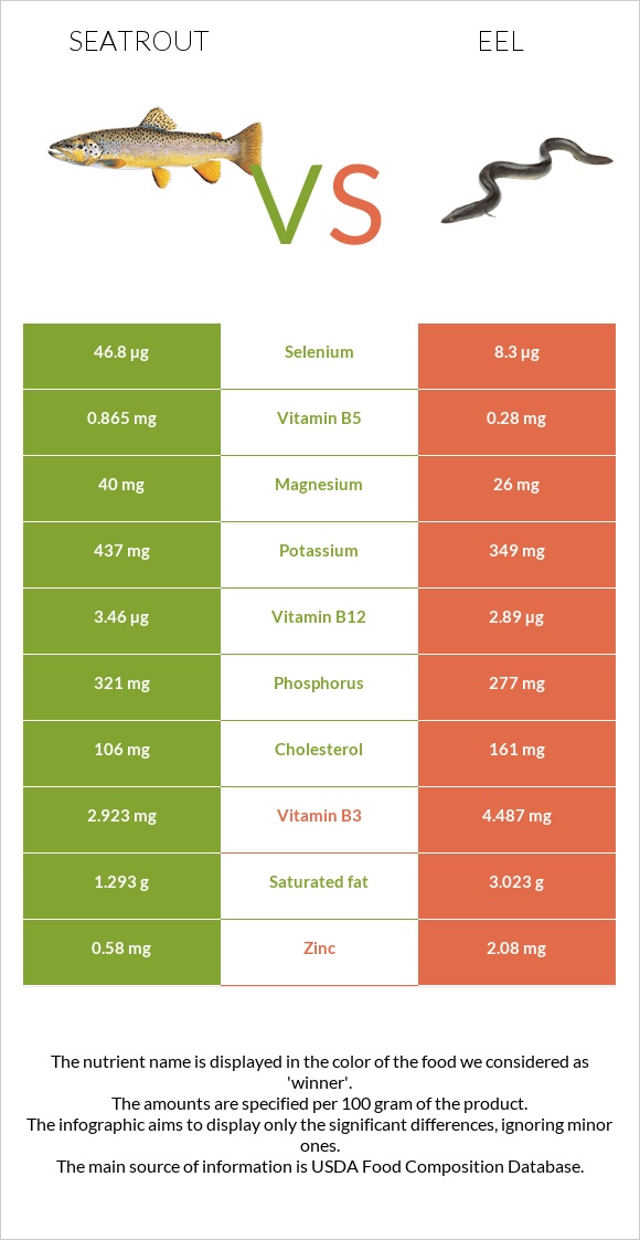 Seatrout vs Eel infographic